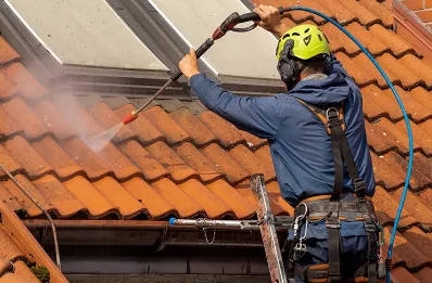 Démoussage et hydrofuge de toiture à Têche